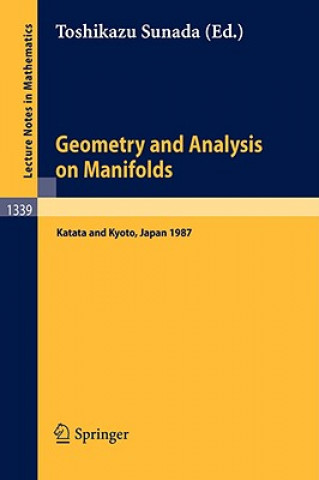 Kniha Geometry and Analysis on Manifolds Toshikazu Sunada
