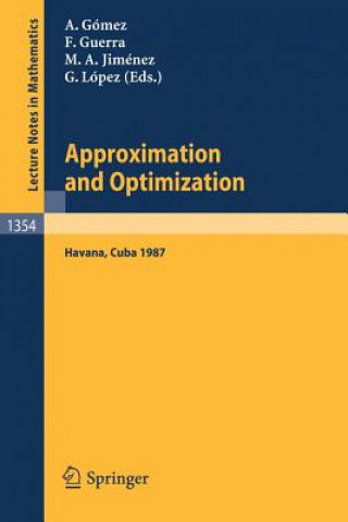 Książka Approximation and Optimization Juan A. Gomez-Fernandez