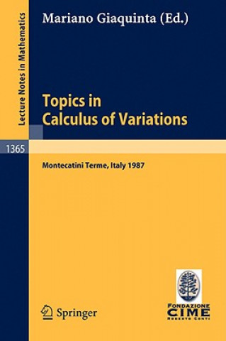 Könyv Topics in Calculus of Variations Mariano Giaquinta