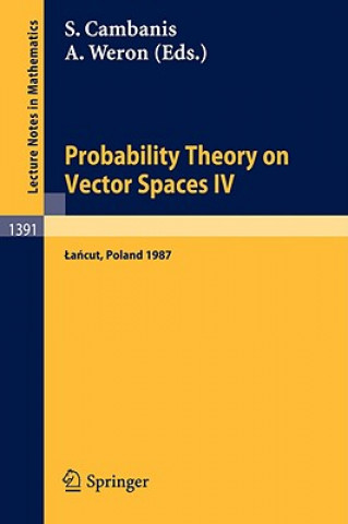 Könyv Probability Theory on Vector Spaces IV Stamatis Cambanis