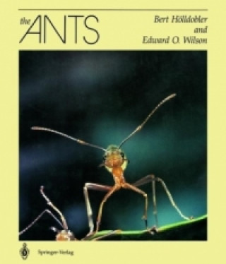 Kniha Ants Bert Hölldobler