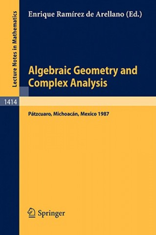 Book Algebraic Geometry and Complex Analysis Enrique Ramirez de Arellano