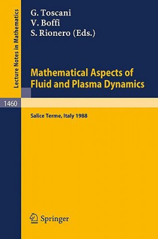 Kniha Mathematical Aspects of Fluid and Plasma Dynamics Giuseppe Toscani