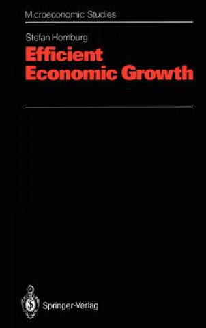 Carte Efficient Economic Growth Stefan Homburg