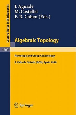 Könyv Algebraic Topology Jaume Aguade