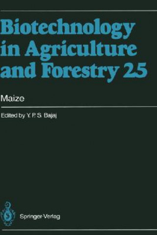 Libro Maize Toshiyuki Nagata