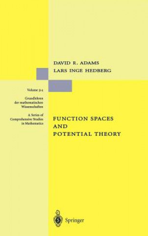 Carte Function Spaces and Potential Theory David R. Adams