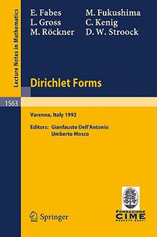 Book Dirichlet Forms E. Fabes