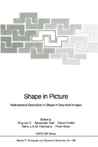 Книга Shape in Picture Ying-Lie O