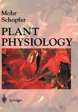 Книга Plant Physiology Hans Mohr