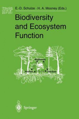 Kniha Biodiversity and Ecosystem Function Ernst-Detlef Schulze