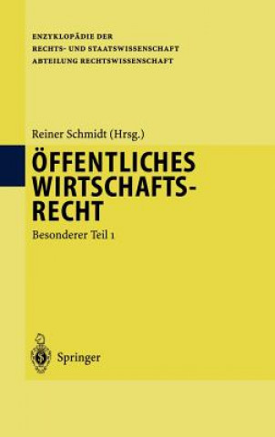 Książka ffentliches Wirtschaftsrecht Reiner Schmidt