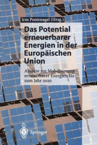 Kniha Das Potential Erneuerbarer Energien in Der Europ ischen Union Irm Pontenagel