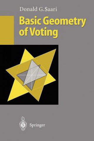 Kniha Basic Geometry of Voting Donald G. Saari