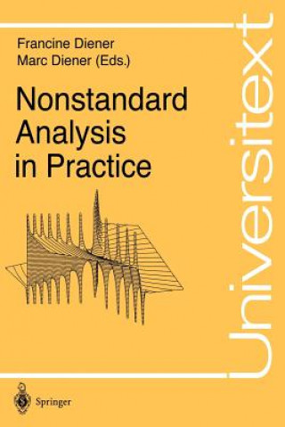 Buch Nonstandard Analysis in Practice Francine Diener