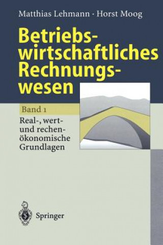 Kniha Betriebswirtschaftliches Rechnungswesen L. Lehmann