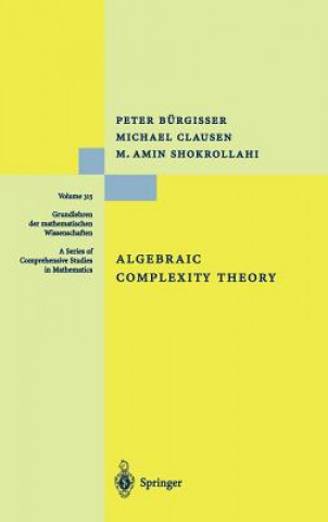 Kniha Algebraic Complexity Theory Peter Bürgisser