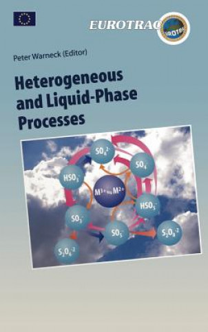 Kniha Heterogeneous and Liquid Phase Processes Peter Warneck