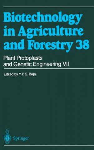 Książka Plant Protoplasts and Genetic Engineering VII pringer
