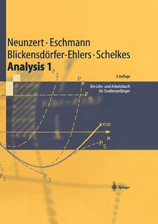 Kniha Ein Lehr- und Arbeitsbuch für Studienanfänger Helmut Neunzert