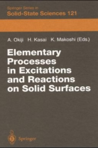 Книга Elementary Processes in Excitations and Reactions on Solid Surfaces Ayao Okiji