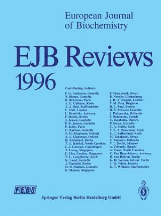 Kniha EJB Reviews 1996 P. Christen