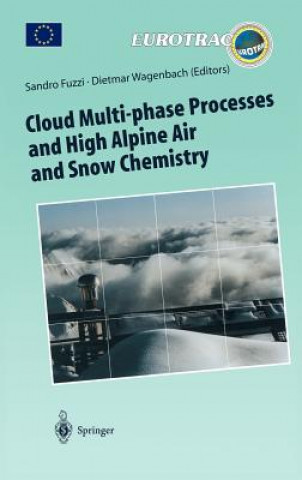 Könyv Cloud Multi-phase Processes and High Alpine Air and Snow Chemistry Sandro Fuzzi