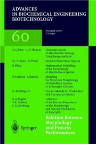 Книга Relation Between Morphology and Process Performances Karl Schügerl