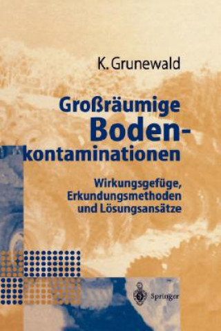 Kniha Gro r umige Bodenkontaminationen Karsten Grunewald