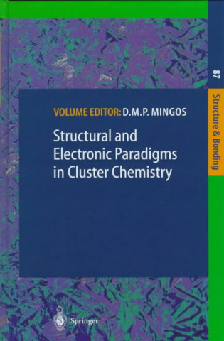 Kniha Structural and Electronic Paradigms in Cluster Chemistry D.M.P. Mingos