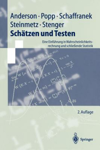 Kniha Schatzen und Testen Oskar Anderson