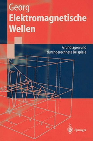 Buch Elektromagnetische Wellen Otfried Georg