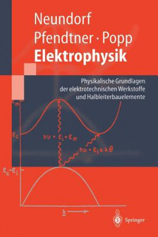 Könyv Elektrophysik Dörte Neundorf