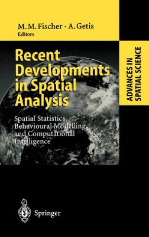 Kniha Recent Developments in Spatial Analysis Manfred M. Fischer