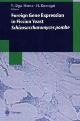 Kniha Foreign Gene Expression in Fission Yeast: Schizosaccharomyces pombe Yuko Giga-Hama