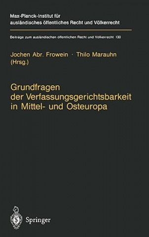 Kniha Grundfragen Der Verfassungsgerichtsbarkeit in Mittel- Und Osteuropa Jochen A. Frowein