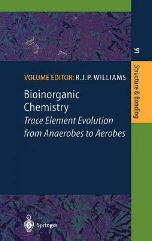 Könyv Bioinorganic Chemistry Robert J. P. Williams