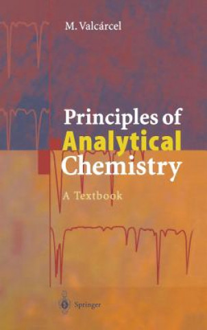 Könyv Principles of Analytical Chemistry Miguel Valcarcel