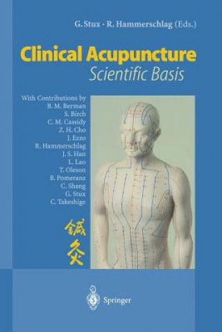 Könyv Clinical Acupuncture Gabriel Stux