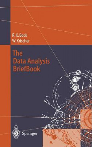 Kniha Data Analysis BriefBook Rudolf K. Bock