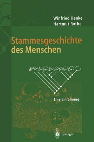 Könyv Stammesgeschichte Des Menschen Winfried Henke
