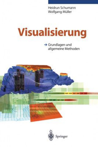Книга Visualisierung Heidrun Schumann