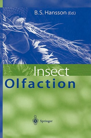 Książka Insect Olfaction Bill S. Hansson