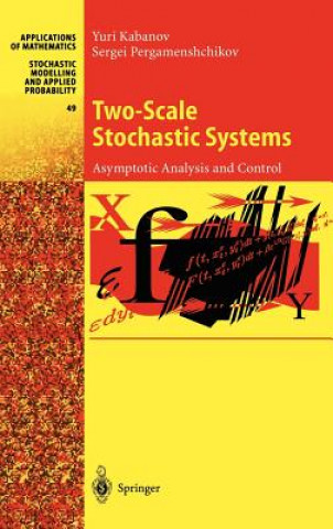 Boek Two-Scale Stochastic Systems Y. Kabanov