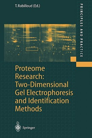 Kniha Proteome Research: Two-Dimensional Gel Electrophoresis and Identification Methods Thierry Rabilloud