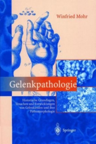 Könyv Gelenkpathologie Winfried Mohr