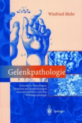 Libro Gelenkpathologie Winfried Mohr