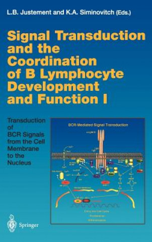 Carte Signal Transduction and the Coordination of B Lymphocyte Development and Function I Louis B. Justement
