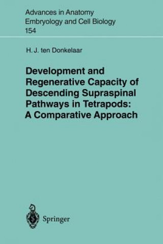 Kniha Development and Regenerative Capacity of Descending Supraspinal Pathways in Tetrapods Hans J. ten Donkelaar