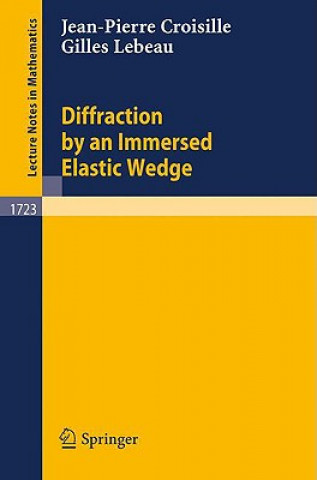 Boek Diffraction by an Immersed Elastic Wedge Jean-Pierre Croisille